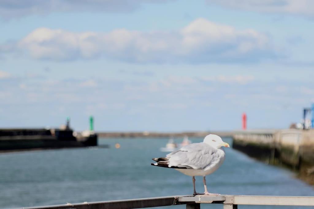 Apartment Studio-cosy 10 Proche Nausicaa Boulogne-sur-Mer